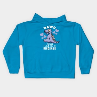 Rawr Means I Love You In Dinosaur Baby Stegosaurus Design Kids Hoodie